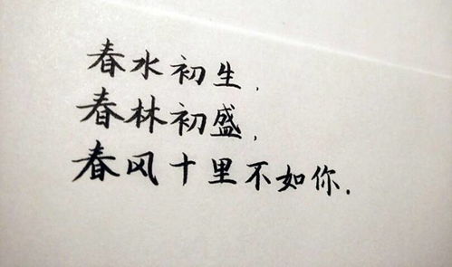 詩(shī)句,十里,春風(fēng)