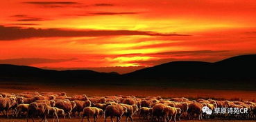 秋天草原詩句古詩