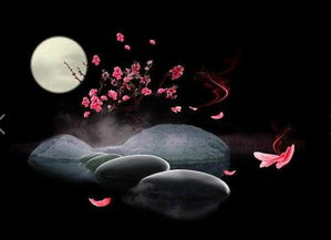 關(guān)于夜晚安靜的詩句