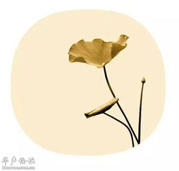 表達(dá)愛情遺憾的古詩句