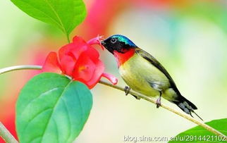 沉得住氣的古詩句