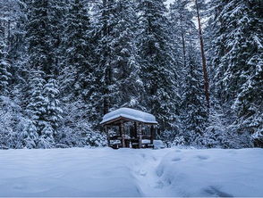 關(guān)于雪和春天的詩句有哪些