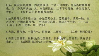 詩句,初中,常見