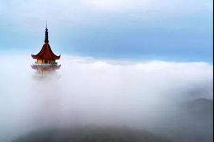 關(guān)于岱山的詩句