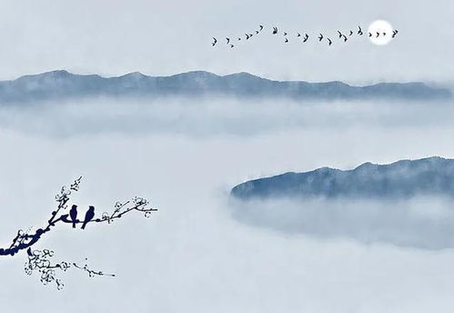 古詩(shī),詩(shī)句,明月,愛(ài)情