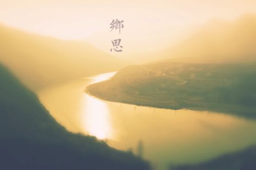 鄉(xiāng)思之情的古詩詩句