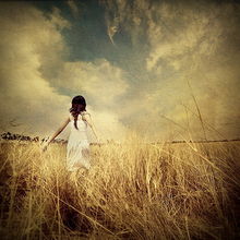 關(guān)于生命堅(jiān)強(qiáng)的詩句