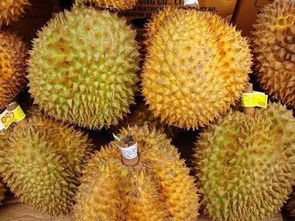 關(guān)于榴蓮的詩(shī)句作者