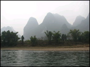 描寫竹子的詩句古詩,描寫蓮花的詩句古詩,描寫荷葉的詩句古詩