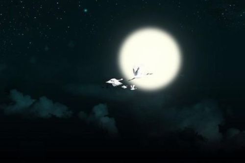 關(guān)于月光的詩(shī)句