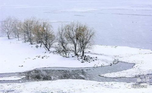 關(guān)于冬之味的詩句