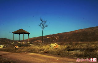 關(guān)于凍雨的詩(shī)句
