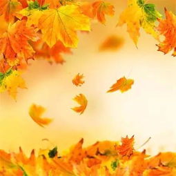 有什么,詩(shī)句,景色,秋天