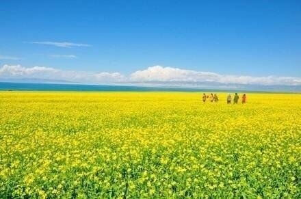 寫天空湛藍(lán)的古詩句