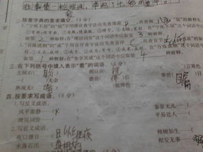 關于積極表態(tài)的詩句