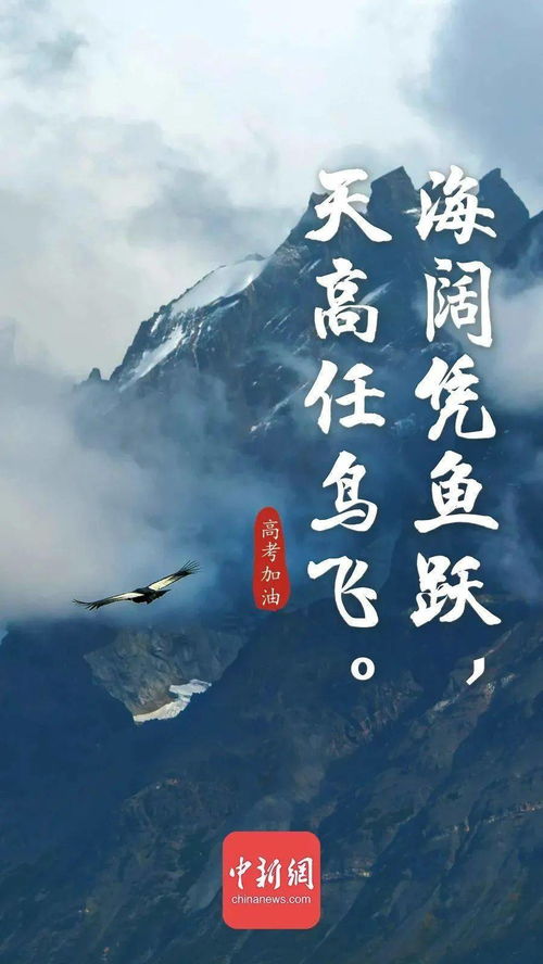 詩句,細(xì)致