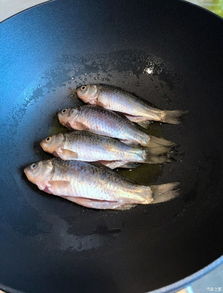 釣魚(yú)燒魚(yú)的古詩(shī)句