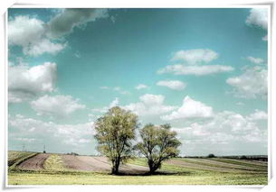 生活平淡安穩(wěn)的詩(shī)句,形容生活平淡的詩(shī)句,生活的平淡簡(jiǎn)單的詩(shī)句