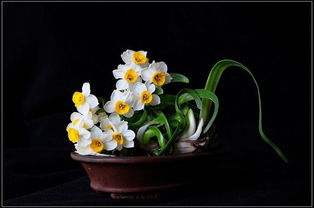 關(guān)于水蓮花的詩(shī)句