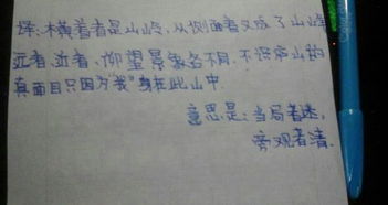 古詩(shī)句的意思是什么意思是什么