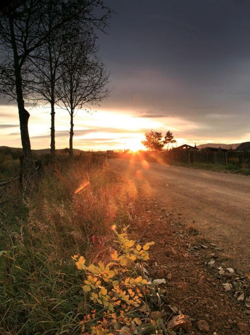 秋風關(guān)于思鄉(xiāng)的詩句古詩詞