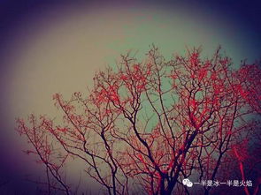 關(guān)于流與晚風(fēng)的詩句