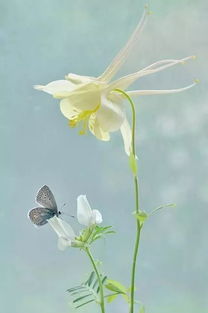 春天,詩句,有不有