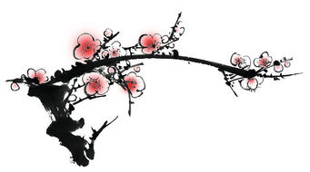 詩句,學了,梅花,初中