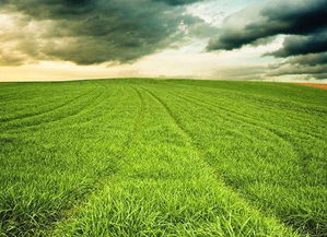 關(guān)于緯度物候的詩(shī)句