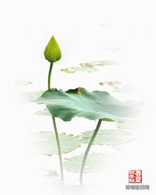 關(guān)于自尊平等的詩句