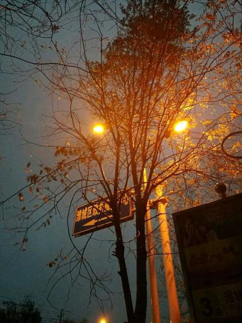 關(guān)于冬雨的詩(shī)句古詩(shī)詞