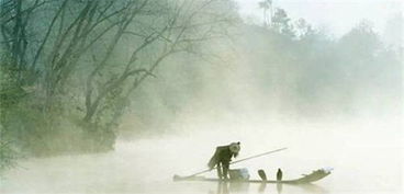 詩句,窗下,讀書