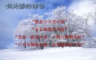 關(guān)于雪的詩(shī)句ppt