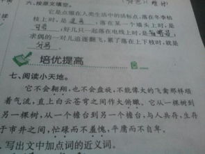 運用對比手法的古詩句有哪些,運用了對比手法的古詩句子,運用對比手法的寫景古詩