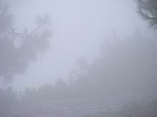 關(guān)于寫霧的詩句