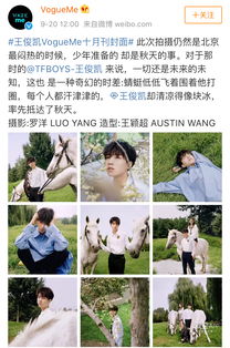 詩(shī)句,堅(jiān)韌,精神