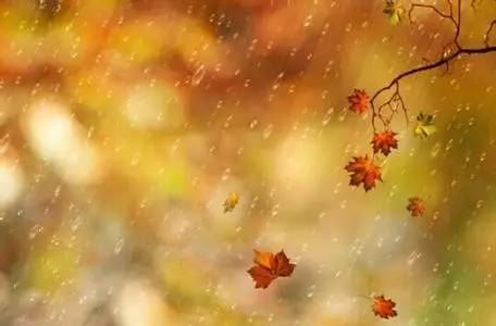 關于秋雨聲的詩句古詩