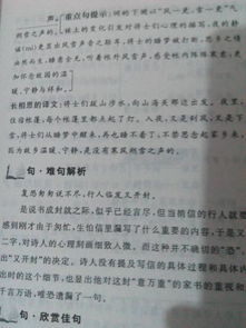 關于五級上冊的詩句的意思是什么