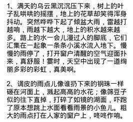 描寫風(fēng)雨好看的古詩(shī)句