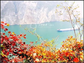 古詩中含有紅的詩句