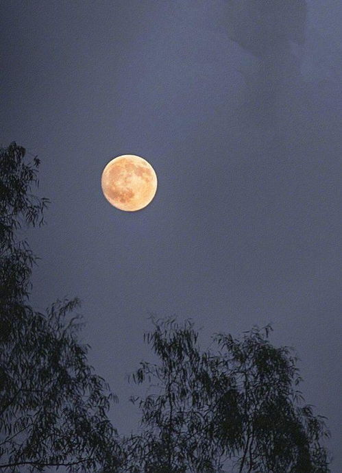 關(guān)于月亮的詩句唐詩三百首