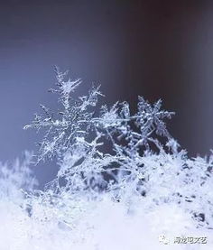 關(guān)于火種的詩句