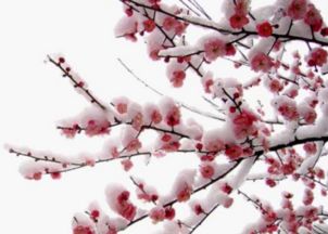 關于中秋的古詩句五言絕句,關于誠信的古詩句五言絕句,廉潔古詩句五言絕句