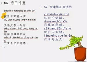 古詩,詩句,帶有,小學(xué)