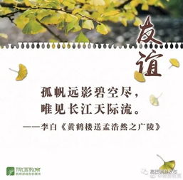 關(guān)于友誼和發(fā)展的詩句