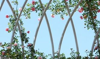 關(guān)于五月的唯美古詩句