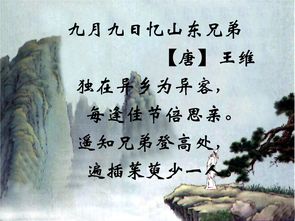 詩句,有名,大全,于月