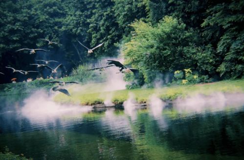 關(guān)于棄官歸隱的詩句