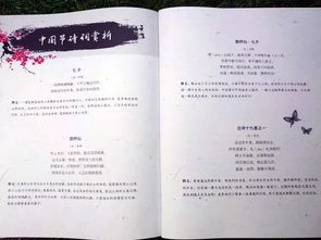 七巧的古詩(shī)的詩(shī)句意思