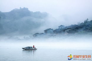 關(guān)于細(xì)雨傷感的詩句